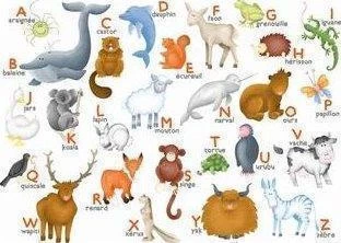 PUZZLE ALPHABET ANIMAUX 12P. 3 PUZZLE ALPHABET ANIMAUX 12P.
