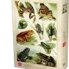1000P GRENOUILLE - ENCYCLOPEDIE -Jeux De Société Boutique arton23892